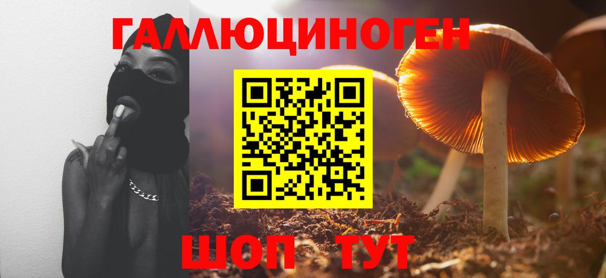 Саянск  где продают наркотики  Галлюциногенные грибы Psilocybine cubensis  Вход с VPN  Галлюциногенные грибы прущие грибы 